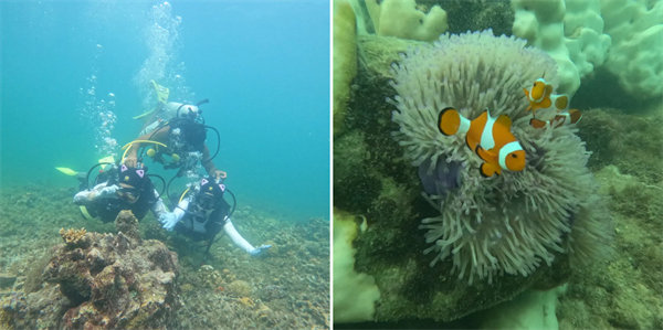 暢游碧海藍天，共筑團隊夢想—博皓沙巴風情之旅        -4